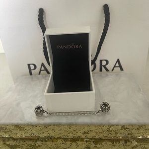 Pandora Safety Chain Charm with fun designs